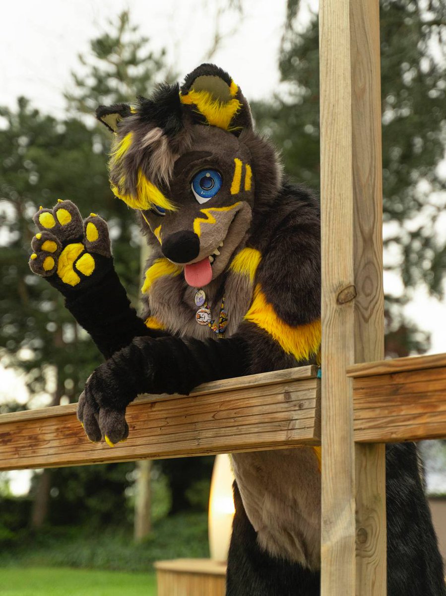 Hey you, this is dawg 🥰
Incredible shot by @Takka_the_doggo at Fauntastic 4
🪡: <a href="/NijakPlayArt/">Nijak Play Art</a>