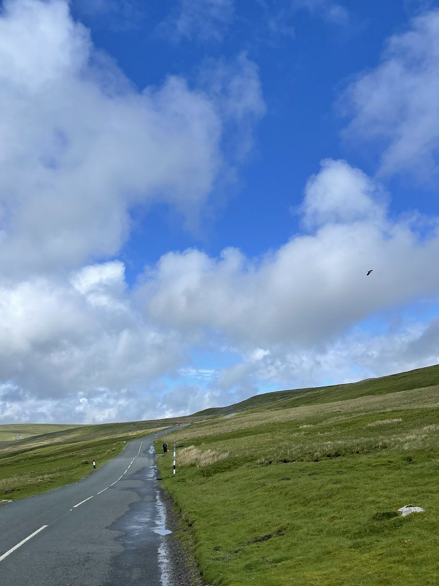 After yesterday’s 12-mile tab today’s session was a wee jaunt over the Buttertubs Pass in the Yorkshire Dales. VFC