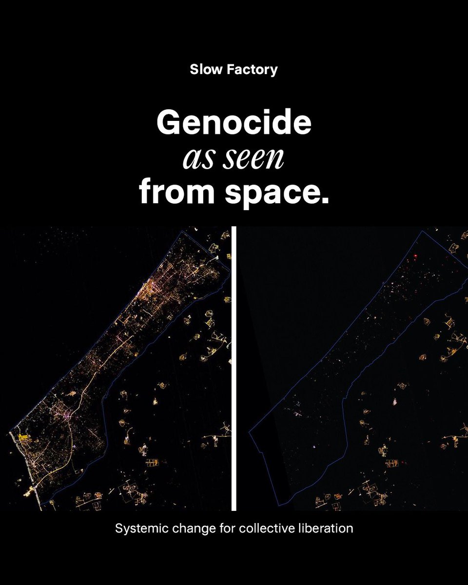 Céline Semaan tweet media