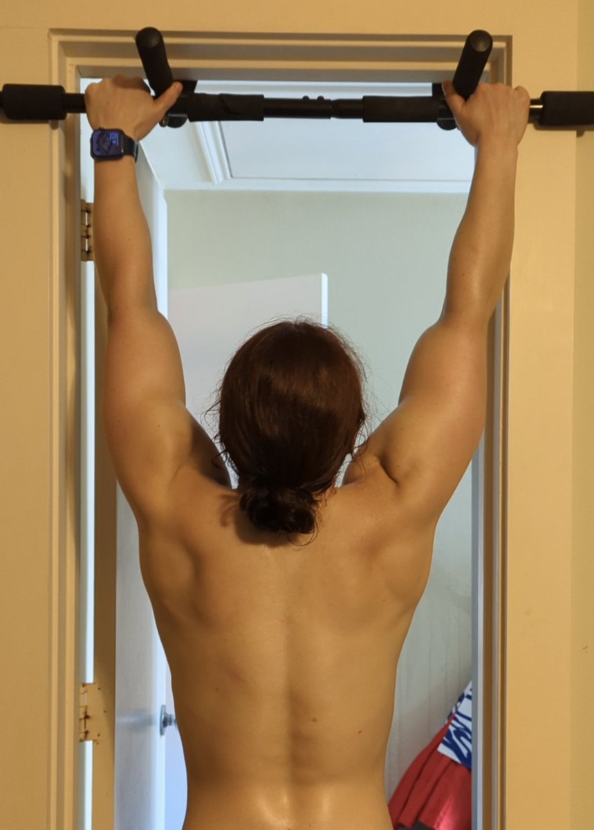 kitty_bit_games's tweet image. Back muscle references.
Muscle engagement at top, middle and bottom of a pull-up.