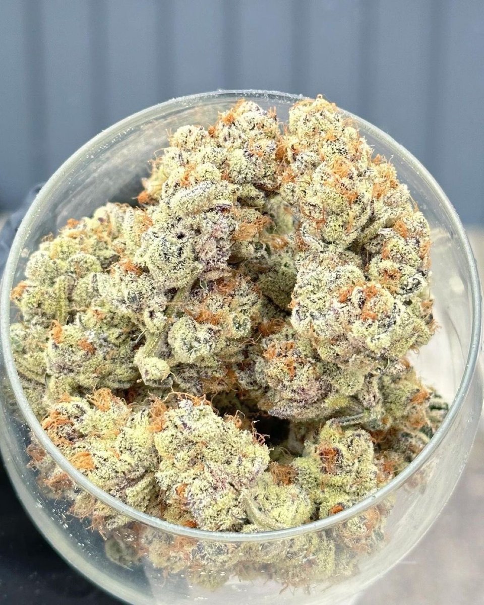 📸 Mimosas 🥂 #weed