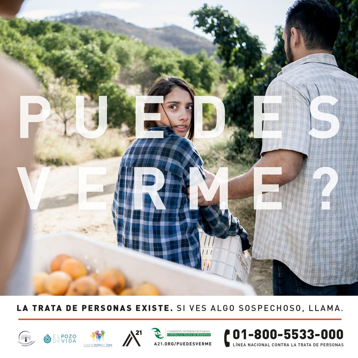 Pequeñas acciones hacen grandes movimientos; conoce la campaña #PuedesVerme #CanYouSeeMe y luchemos juntos contra la #TrataDePersonas, tu participación es fundamental. Denuncia al número 01800 55 33 000.