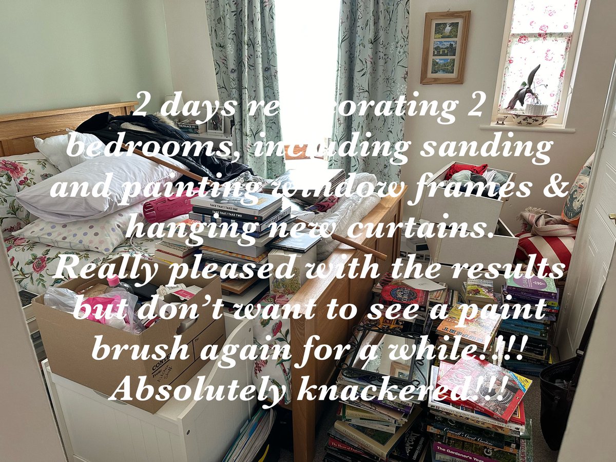 SJane#239 tweet media