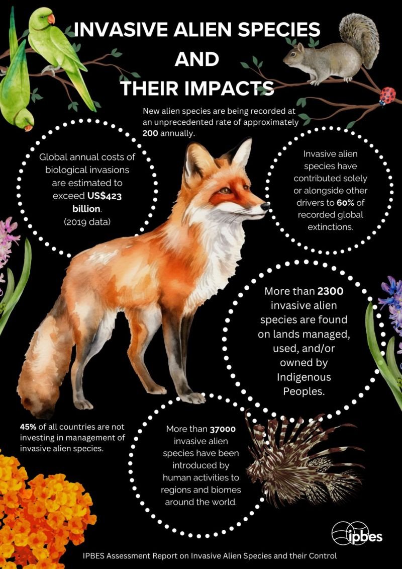 Invasive alien species are a threat to #nature, nature’s contributions to people, and good quality of life. 🐜🌱

Read the IPBES #InvasiveAlienSpecies report ➡️ipbes.net/ias

#ForNature

<a href="/IPBES/">ipbes</a>