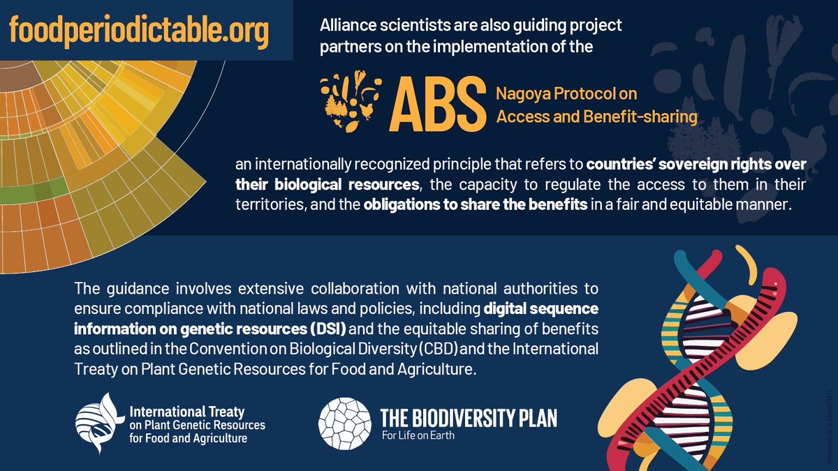 BiovIntCIAT_eng's tweet photo. 🌾🛠️A new set of tools and data from the #FoodPeriodicTable Initiative will revolutionize how we understand food composition, 🧐 allowing us to study the impacts of Climate Change on food quality and human #health. 🌍 Discover how!👇 #Agriculture #PTFI https://t.co/MqiZMuiyTd https://t.co/HBflhqlBJN