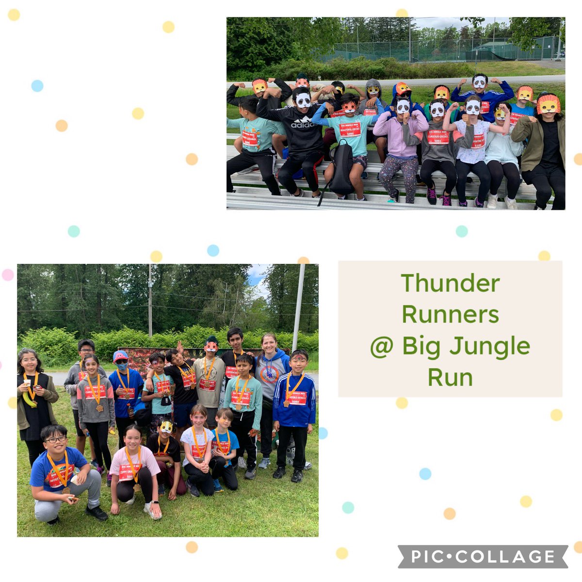 Congratulations to our @twelfthaveSD41 Thunder Runners who participated in the Big Jungle Run @ Burnaby Lake on Saturday.