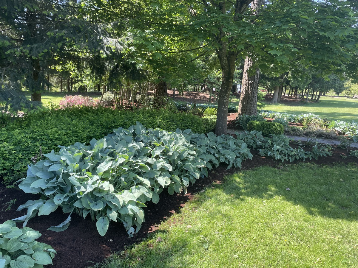 denbowltd's tweet photo. Green spaces in cities are some of our favorite projects. We love being a part of creating beautiful spaces outdoors where residents can enjoy a walk immersed in nature. We are honored that our products are chosen by cities to help enhance these spaces. #Denbow #greenspaces https://t.co/bI7ZBXURvk