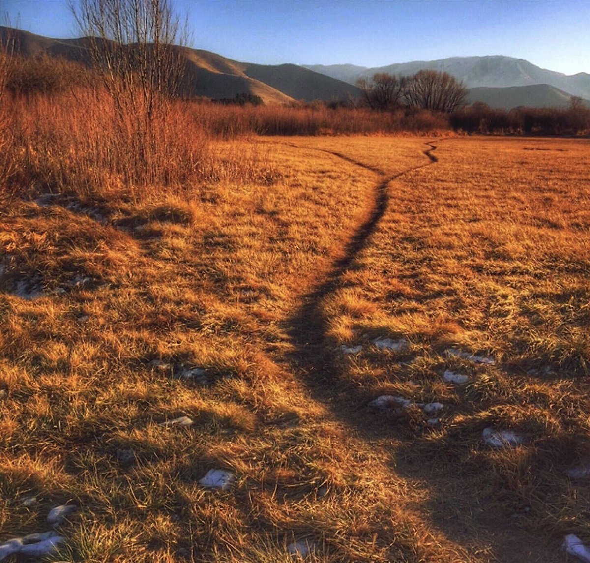 The three 
most important words 
in the English language are: 

"I appreciate you."