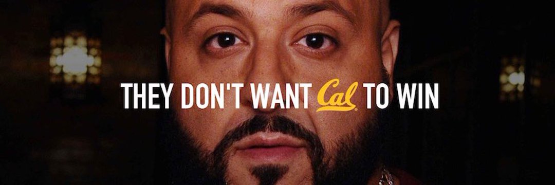 Cal Care Bear tweet media