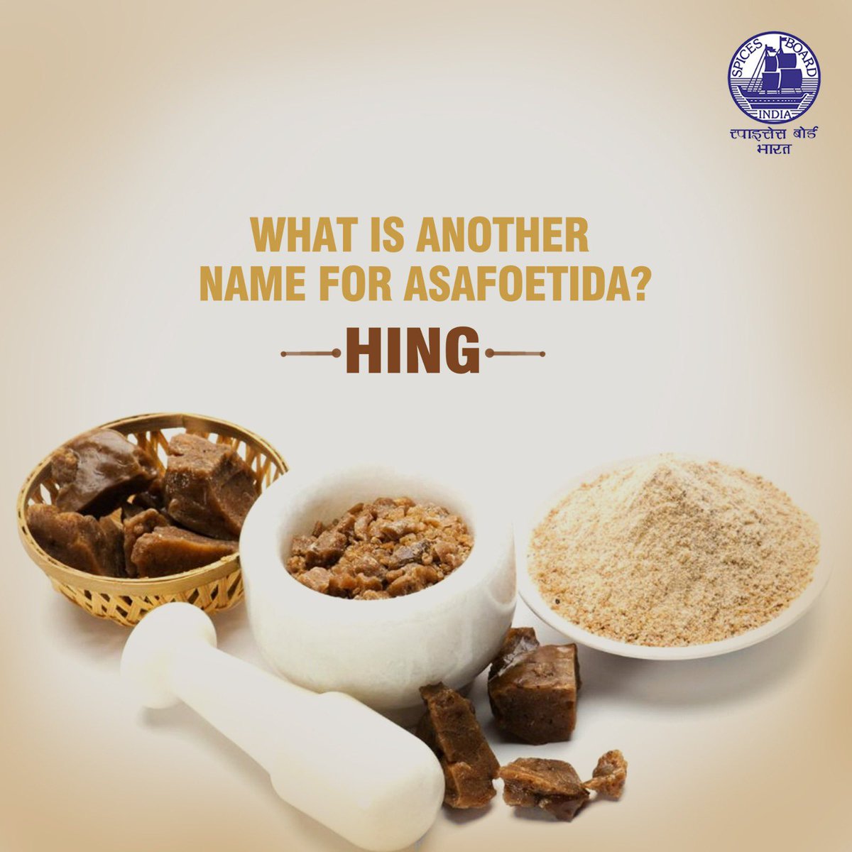 Are you familiar with the common name for Asafoetida? @doc_goi #spicesboard #asafoetida #incrediblespicesofindia