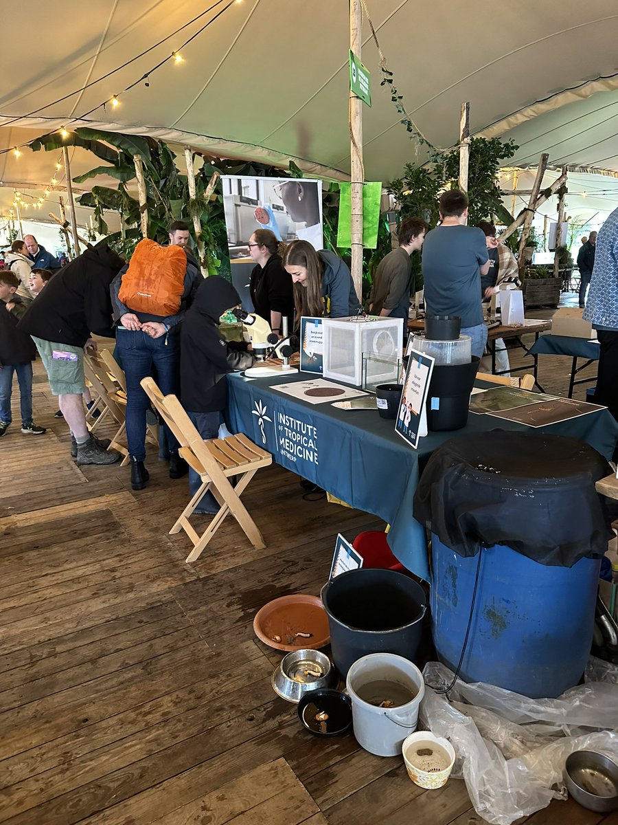 Isra Deblauwe tweet media