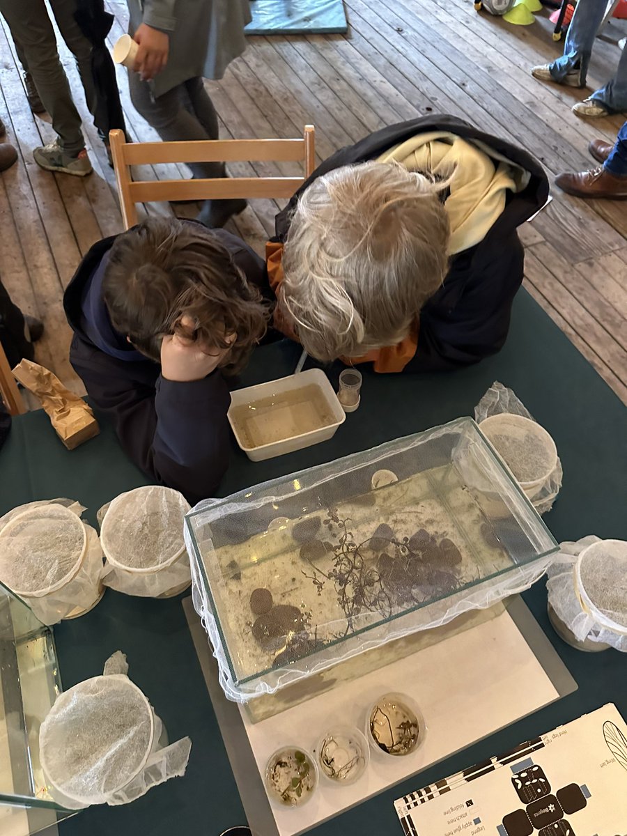 Isra Deblauwe tweet media