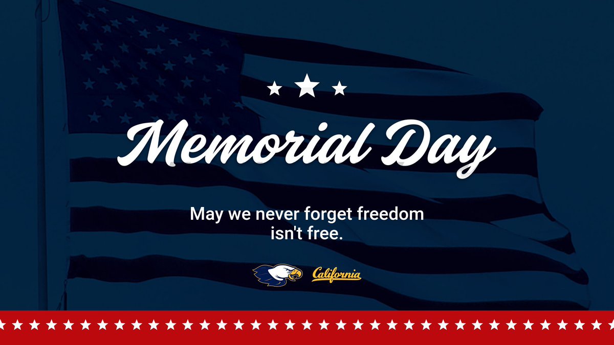 LadyCondors's tweet image. 