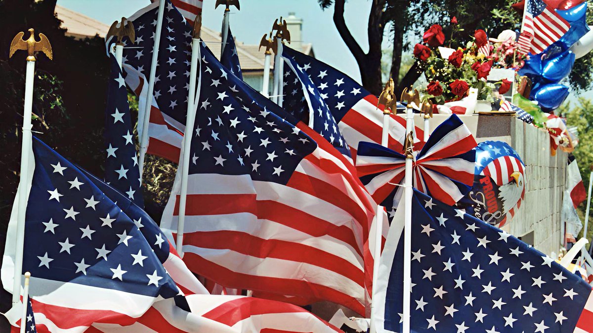 Tal Midori tweet media