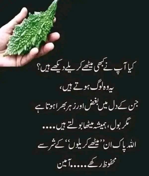 Ameen sum ameen