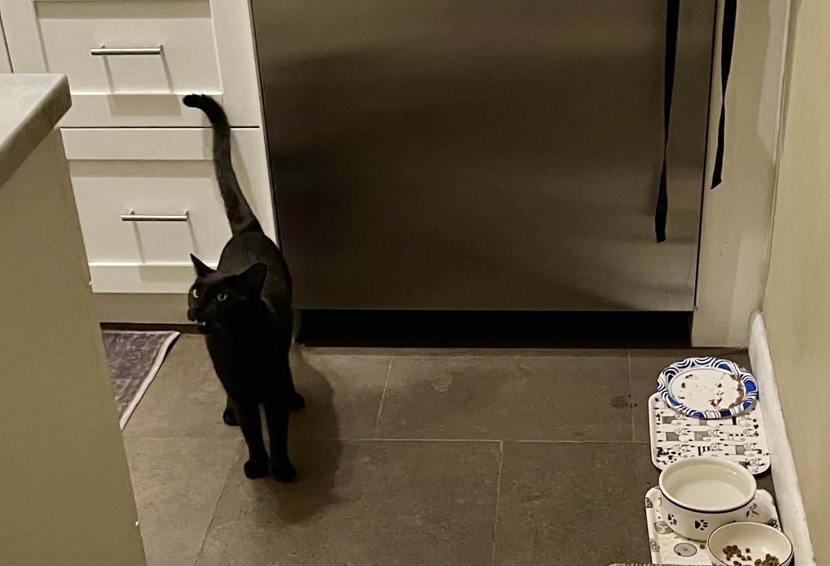 Emily Martin tweet media