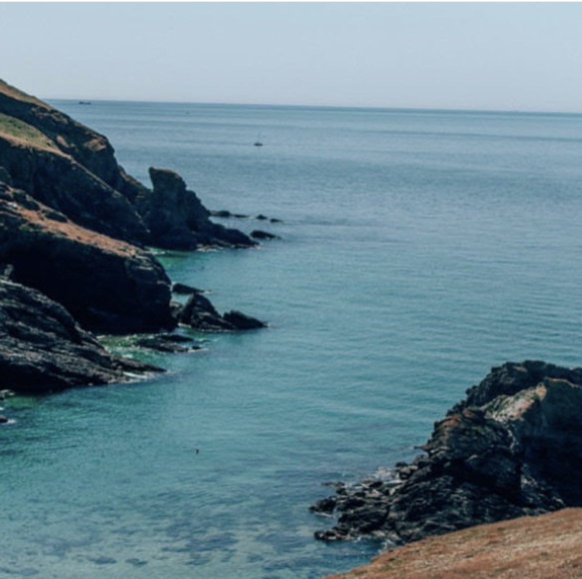 Soar Mill Cove Hotel tweet media