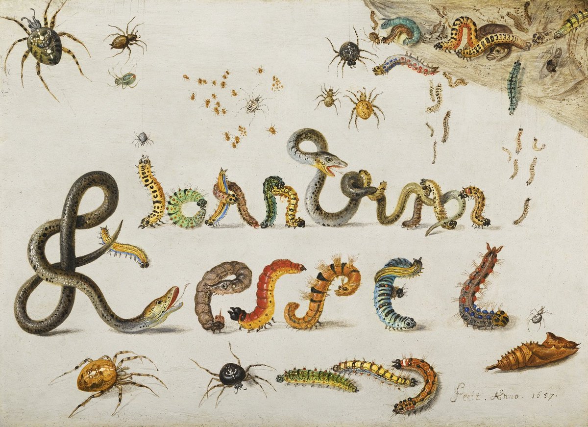 As far as artist signatures go, Jan van Kessel’s 17th-century painting of his name in caterpillars and snakes must be up there with the best. More on the unique work here: publicdomainreview.org/collections/ja…