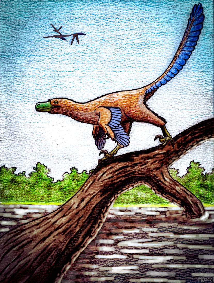 Here's my piece for Bambiraptor, a genus of Dromaeosaur from the Two Medicine Formation in Montana! Just like my Stelladens piece from last year, Bambiraptor was also made for the local museum I'm volunteering at. Hope you all like it!

Pterosaurs in the bg are Montanazhdarcho.