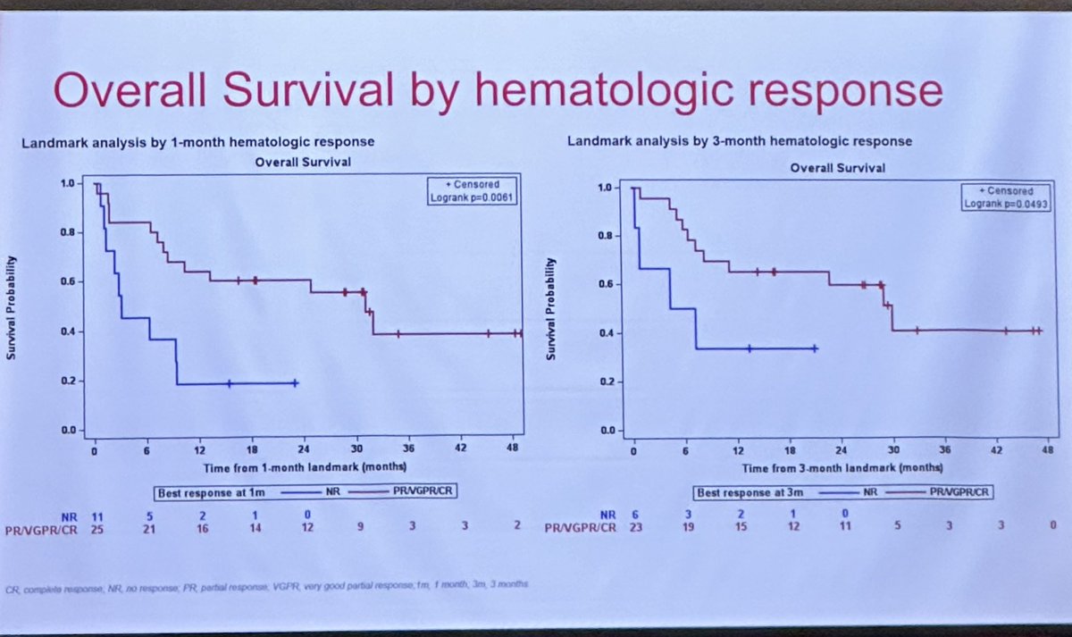 Dr Kastritis discusses Dara-based Rx for stage 3b AL #amyloidosis. Feasible, but not a home run. Still plenty of early deaths (perhaps fewer than historically). Lots of room to add disease modifying Rx: antifibril moAbs? LC stabilizers? 1/@ISA_Amyloidosis #ISA2024