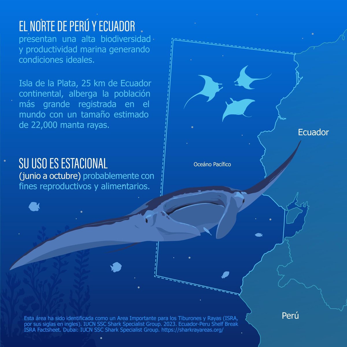 Co_Tiburon_Peru's tweet photo. El mar 🇵🇪 es el hogar de criaturas marinas.

@pudu_ilustrado PUDÚ 
@IUCNShark IUCN SSC Shark Specialist Group https://t.co/mIhKUELJ0o