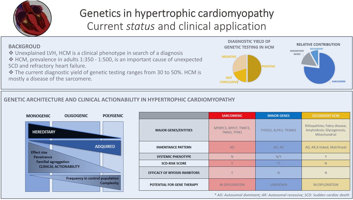 Emerging themes in #genetics of #HypertrophicCardiomyopathy: Current Status and Clinical Application 👉 onlinecjc.ca/article/S0828-… #HCM #CJC