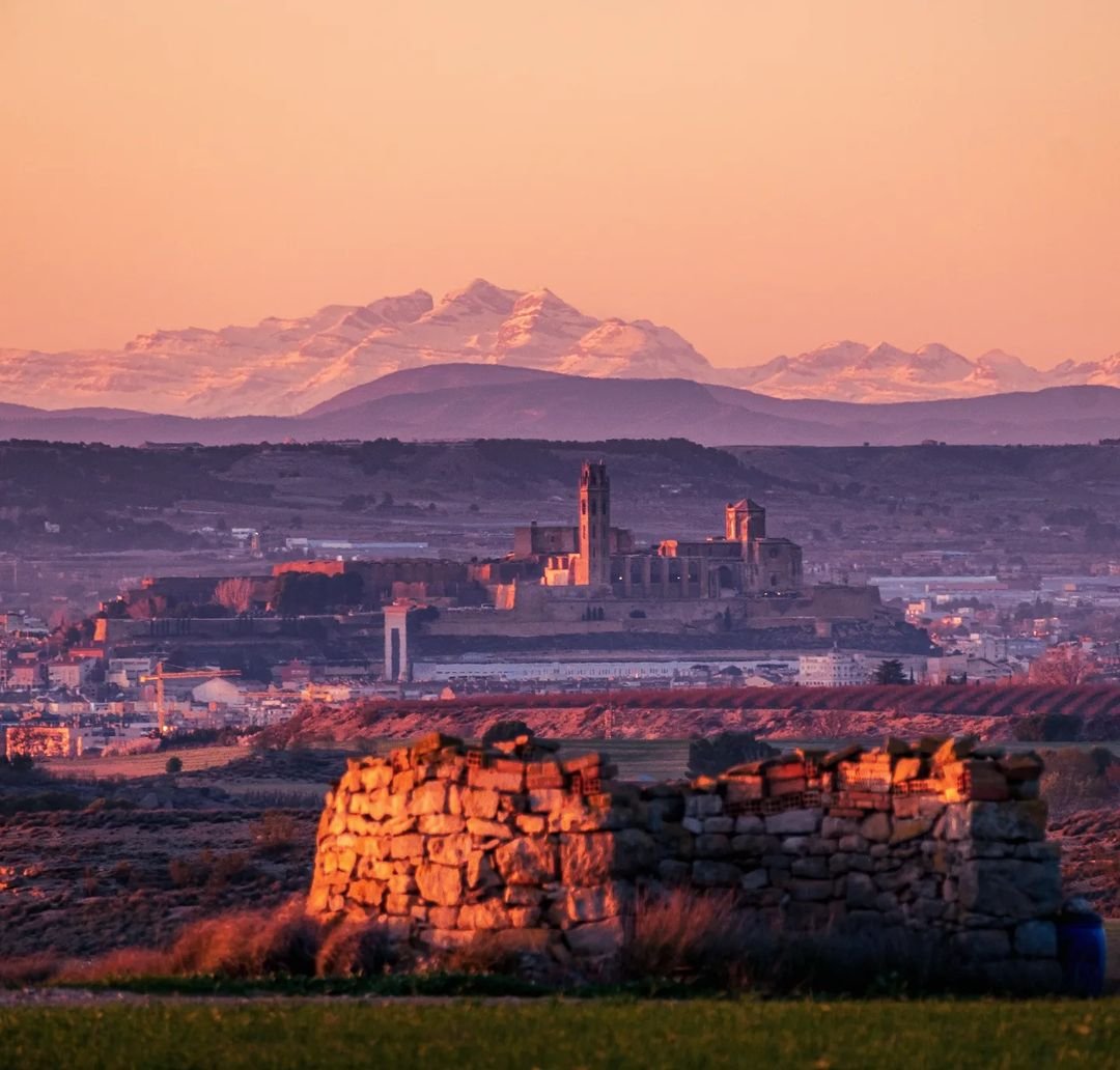 Les 📍Terres de Lleida són impressionants, i encara més amb la Seu Vella alçant-se a l'horitzó 😊. Una captura que ens fa admirar l'autèntic #ADNLleida 🦋💚🌍

📌 Seu Vella, Ciutat de Lleida, el Segrià
Gràcies instagram.com/rboria/ per #CompartirADNLleida!