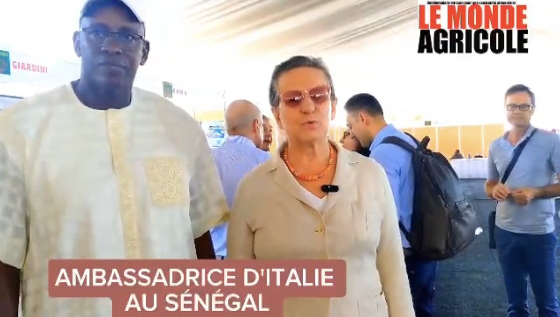 Fatou Diouf tweet media