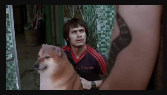 RevistaMarvin's tweet photo. Desde su cuenta X el @museotamayo anuncia la suspensión del performance con perros en la expo Casts de #NinaBeier. @cultura_mx, redmuseosINBAL. https://t.co/6yYF4pwrWn