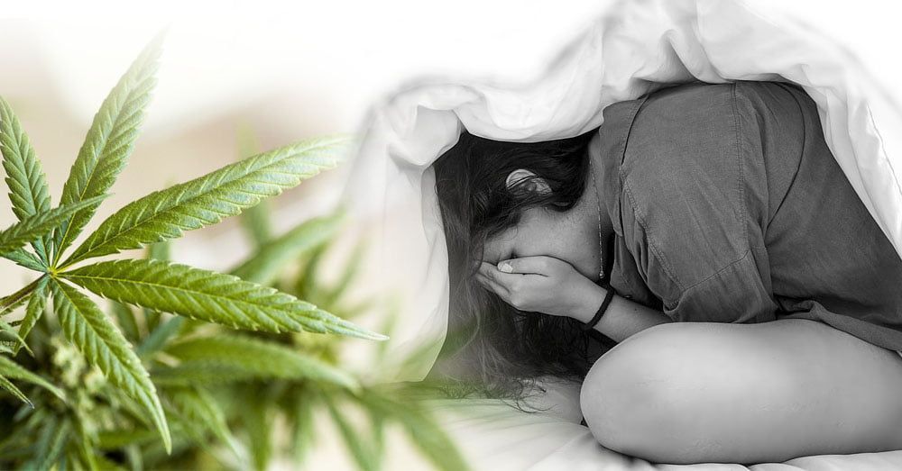 Can Cannabinoids cure chronic anxiety disorder? Click the link below to read the latest blog and find out!  buff.ly/4bign3i 

#cannabinoids #plantmedicine #bepainfree #affiliate #staylifted
