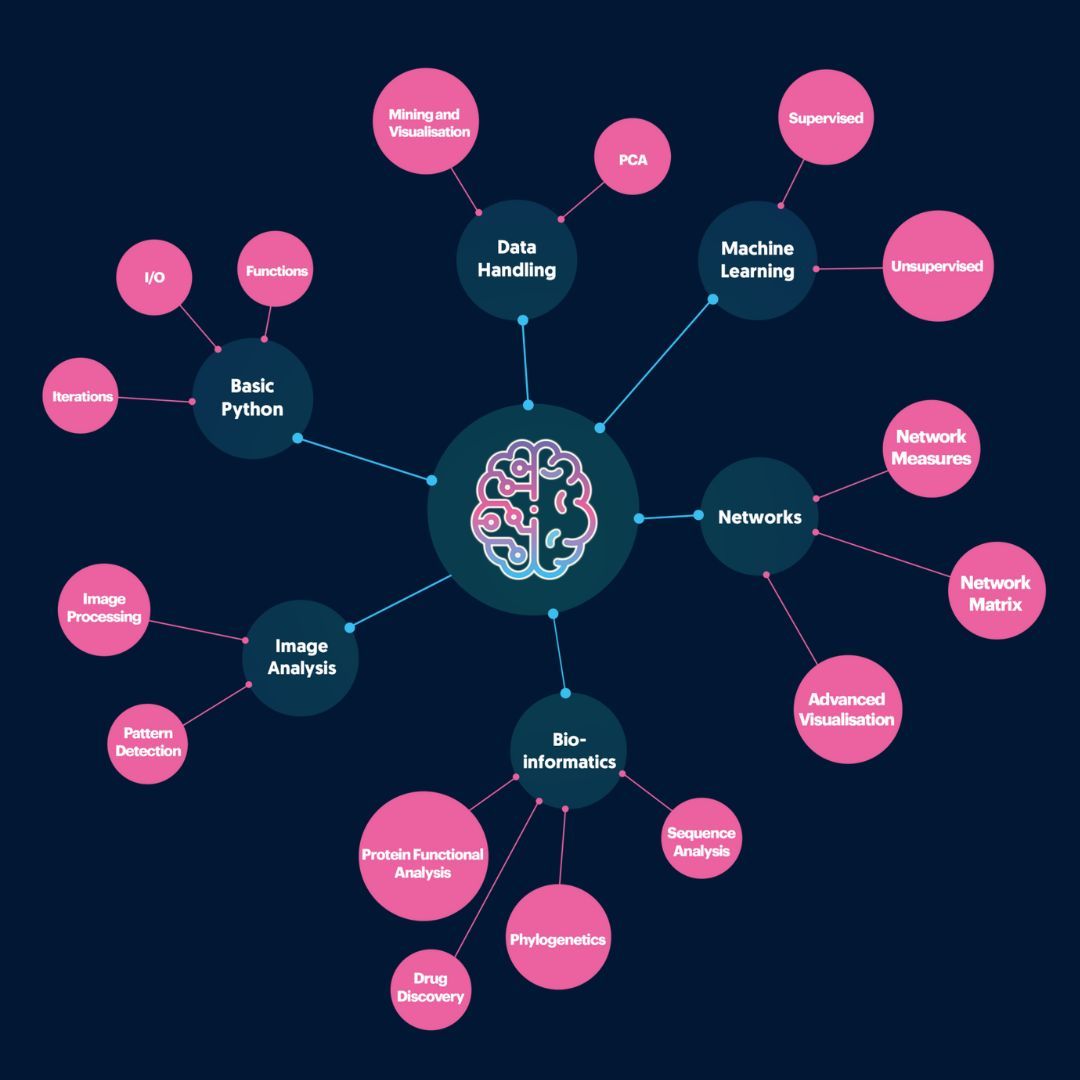An overview of our course content, find out more at our website: learntodiscover.ai/#courses 
A reminder we have opened registration for our Summer Cohort! 🧠