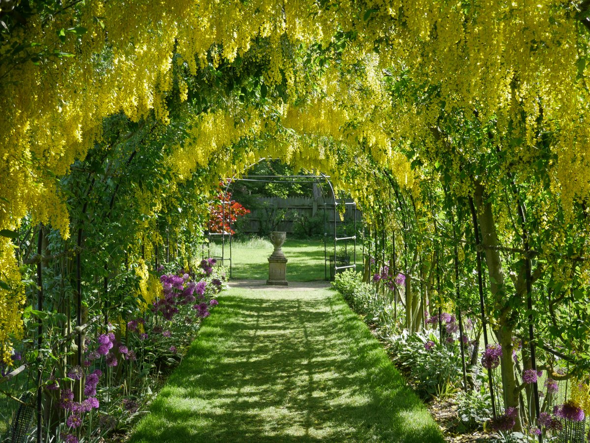 Over too soon as always - where have you been exploring this Bank Holiday? Photo: @SeatonDelavalNT