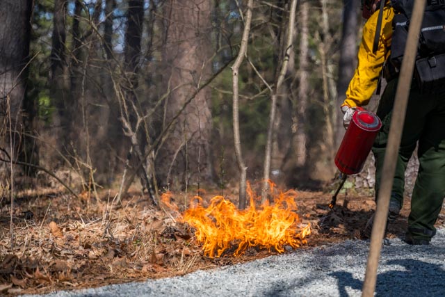 Did you know that May is Wildfire Awareness Month? Our N.C. Forest Service works hard to control wildfires across the state each year, but there are steps you can take to help as well. Find them below and do your part today! #NCAgriculture Read more: t.ly/c3J-W