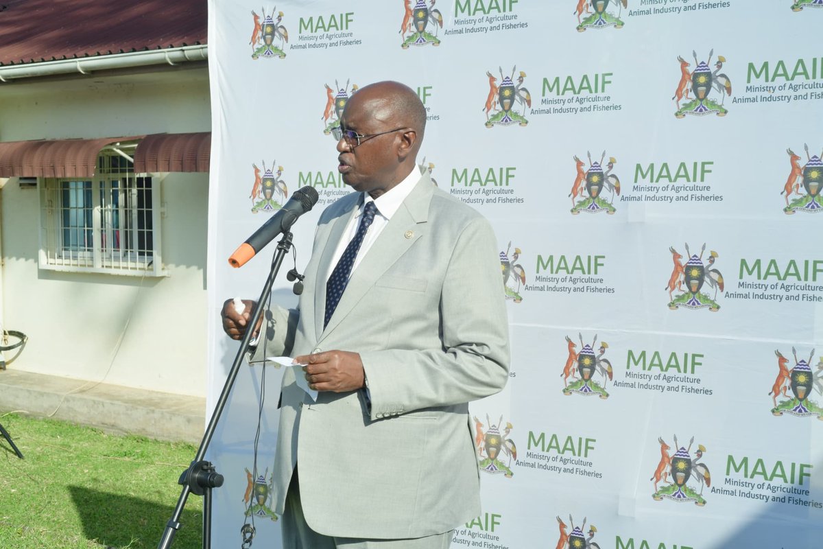 Today Hon. MoSAI, Bright Rwamirama handed over 3 million vaccines to 27 DLG. This is 2nd consignment of the 10 million dosage of  FMD vaccines to be procured. 1st consignment were 900,000 together with 260 Refrigerators for all districts.<a href="/MAAIF_Uganda/">MAAIF 🇺🇬</a> <a href="/DDAUganda/">Dairy Development Authority</a>  <a href="/NAGRC_DB/">NATIONAL ANIMAL GENETIC RESOURCES CENTRE &DATABANK</a>