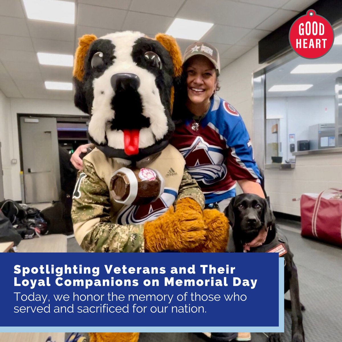 GoodheartVet tweet media