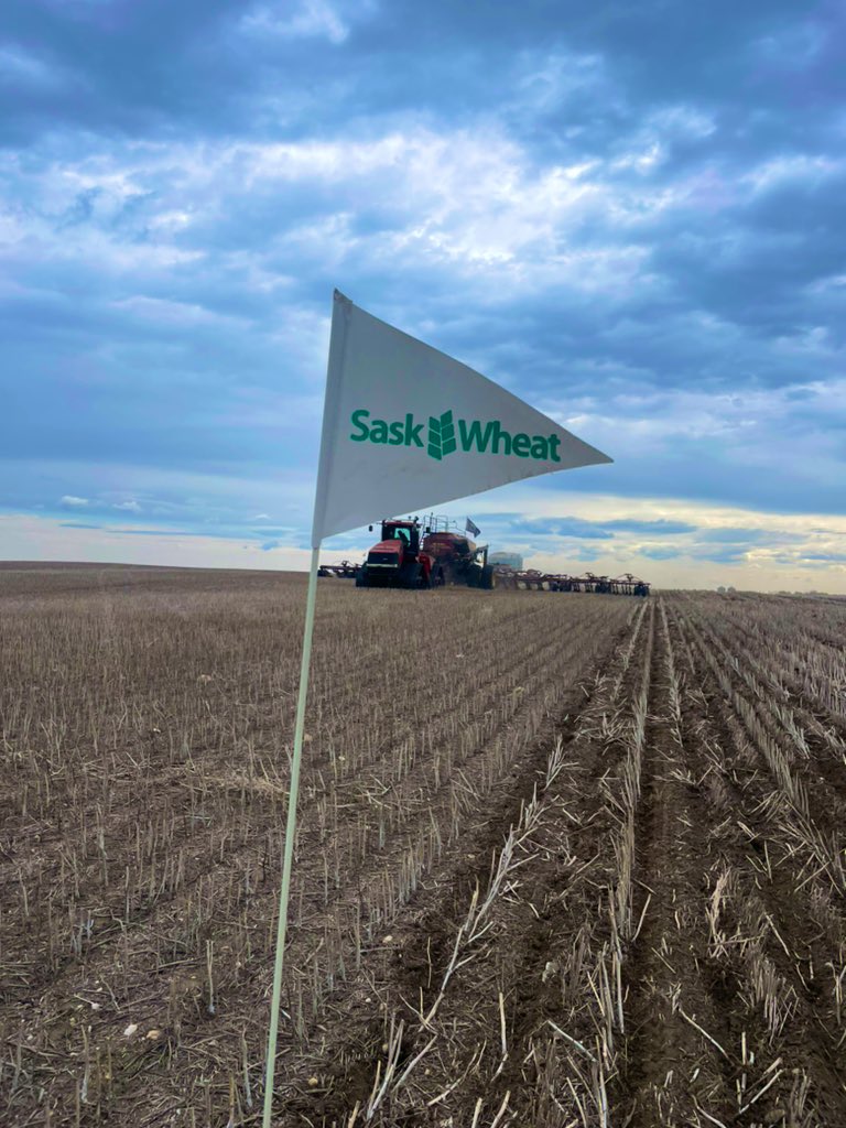 joshsandenboss's tweet photo. Wrapped up the planting season with a @SaskWheat ‘Wheat Wise On Farm Trial’ 

Looking  at split Nitrogen applications during the growing season to see what timing and rates provide the best ROI. 

Let it rain https://t.co/8evy2ECKap