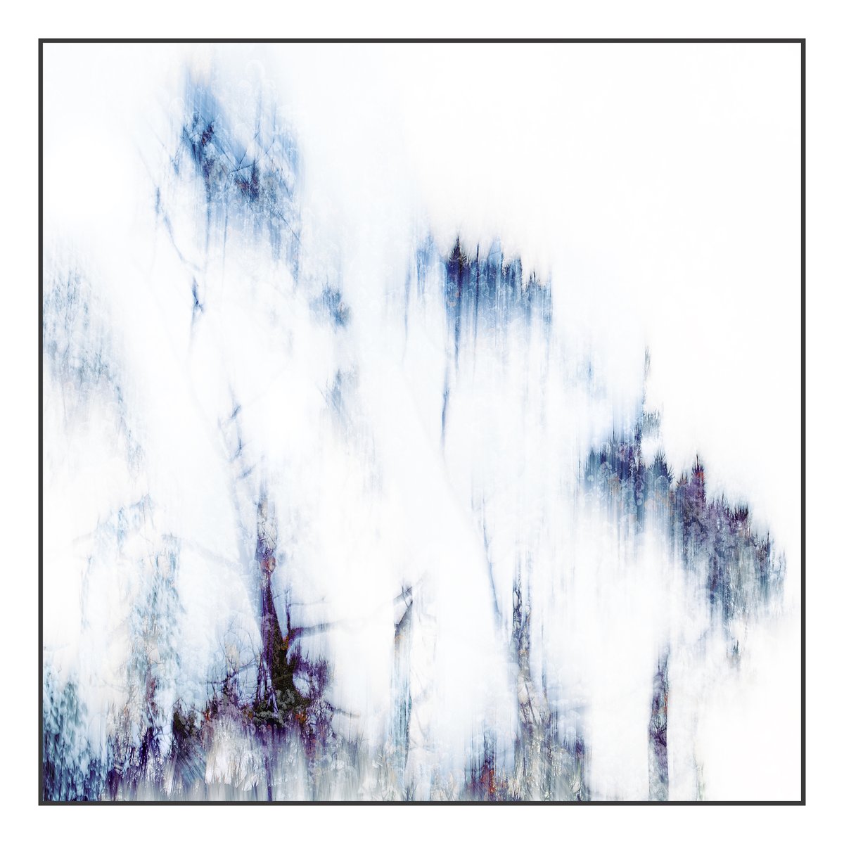 deliberate camera movement and deliberate over exposure in the quest of woodland abstracts #sharemondays2024 #fsprintmonday