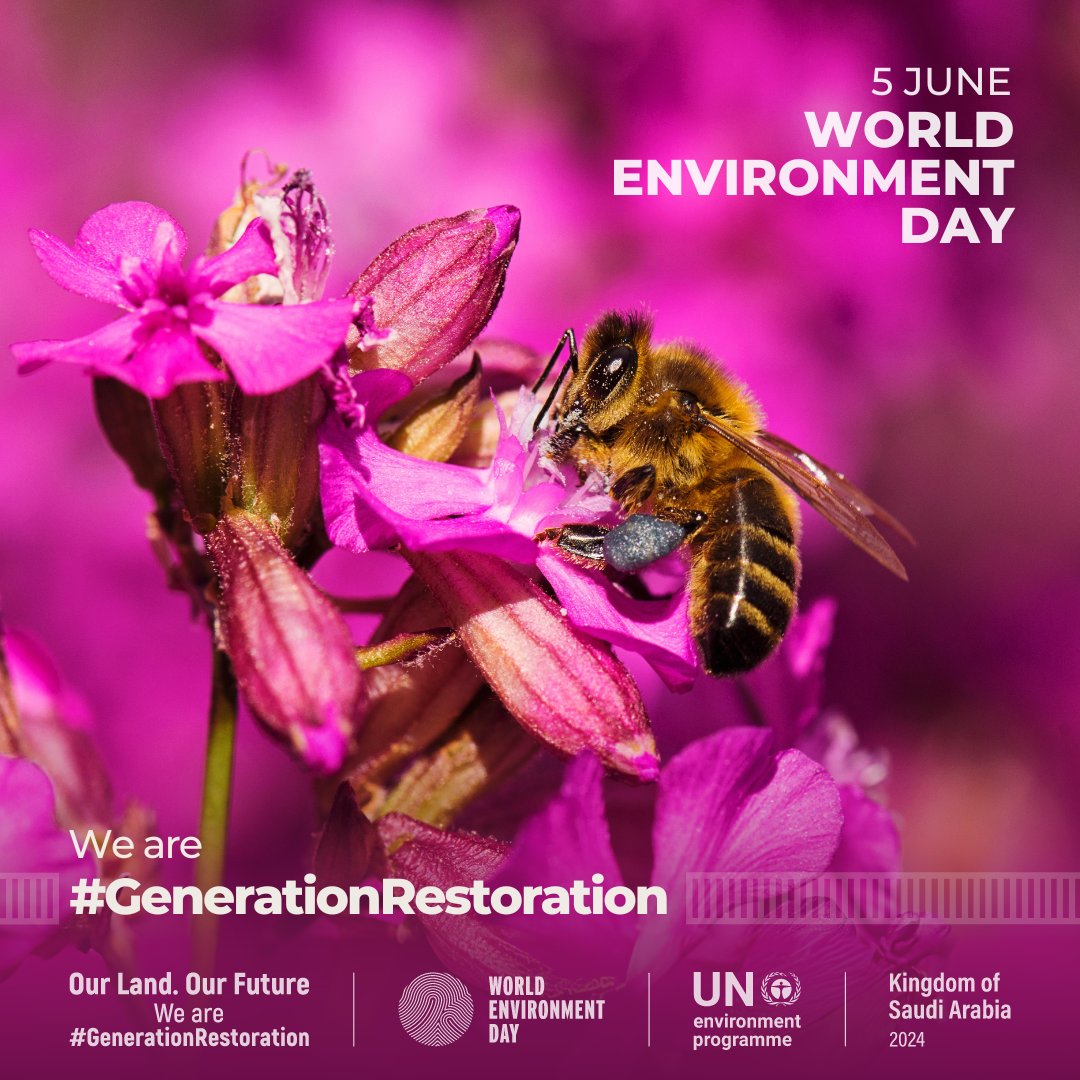 From forests & drylands to farmlands, humanity’s existence depends on critical ecosystems.

Yet, they’re reaching a tipping point.

It's on all of us to restore our land & soil  – we are #GenerationRestoration.

5 June is #WorldEnvironmentDay: worldenvironmentday.global