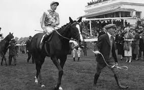 The Derby - 1954: Never Say Die (33-1) won the Blue Riband by 2 lengths from Arabian Night 33-1) & Darius (7-1) a neck away in 3rd. Trained by Joe Lawson & ridden by 18-year-old Lester Piggott. Never Say Die went on to win the St Leger ridden by Charlie Smirke.🏇👏#RacingMemories