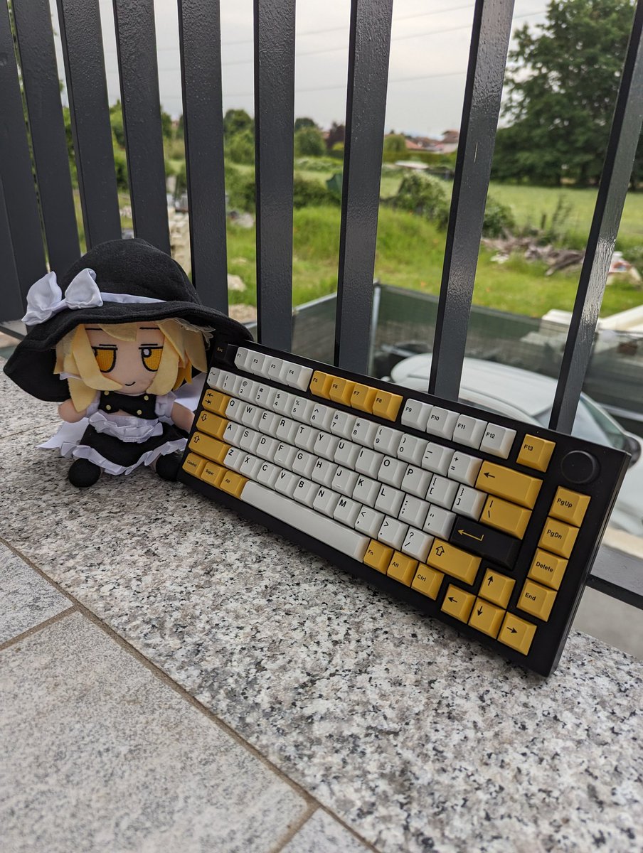 ringrazio Marisa per avermi tenuto la tastiera, nuovi keycaps (nuova tastiera anche soon™...)