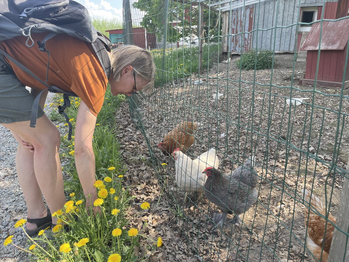 Tiimin kehittämispäivä: pyöräilyä Niipalan tilalle, hommia ja hyvää ruokaa, metsälenkki ja taas vähän pyöräilyä. Hyvä päivä🦦