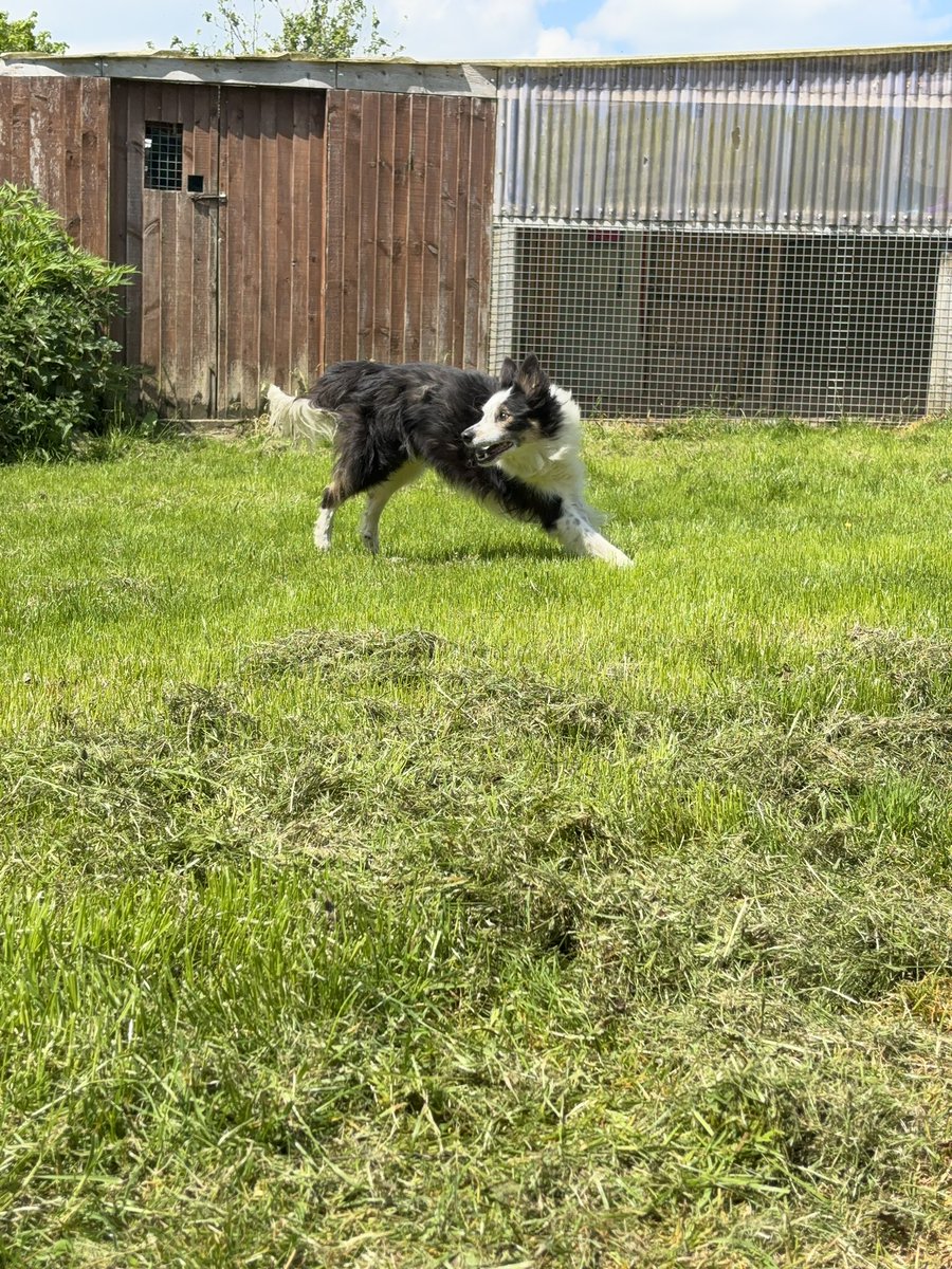 Freedom of Spirit tweet media