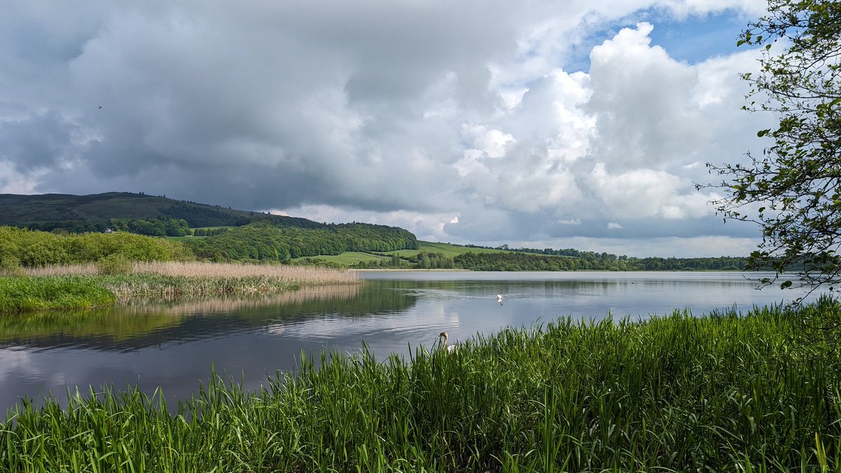 Morning walk at Loch Ore before the rain 🌧️🌧️ #OutAndAboutScotland