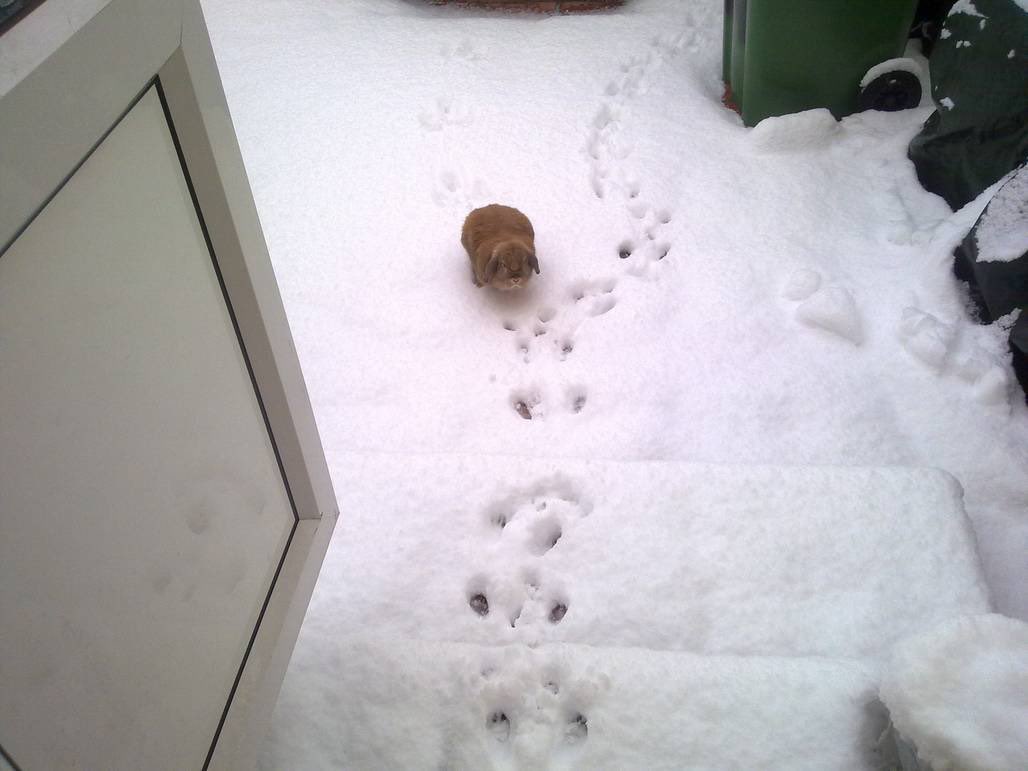 ᅠ ᅠ ᅠ ᅠ❦ ˢᵘⁿˢʰⁱⁿᵉ ᴮᵒʸ ❦ (Angel! Au) (@theinocentd3vil) on Twitter photo 