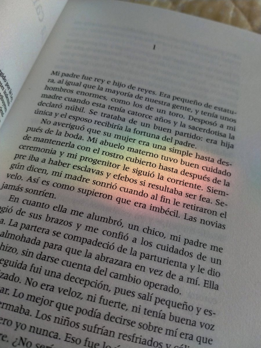 ainhoa🪻 tweet media