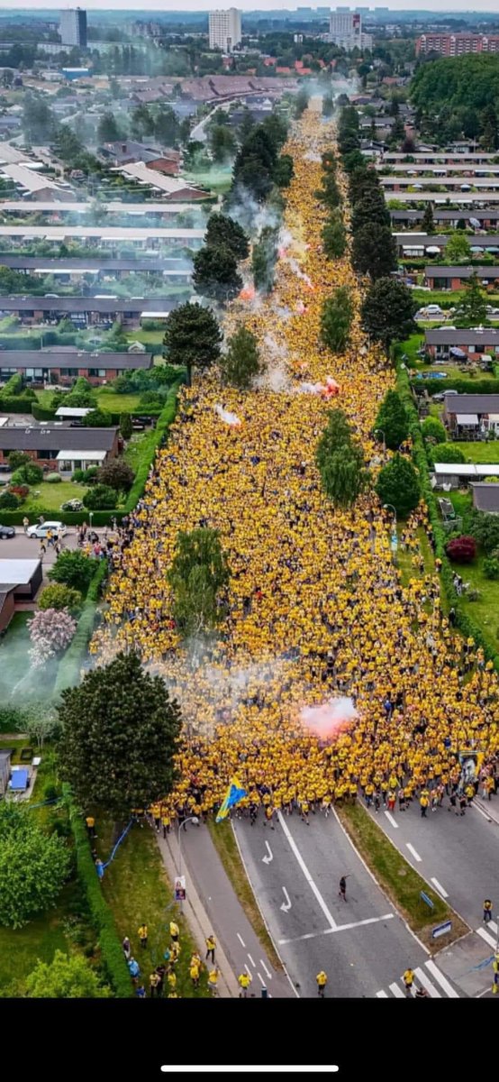 Plenum79's tweet image. Stoltheden er stadig kolossal 💛💙 #Brøndby #bif #Stoltheden 
#💙💛