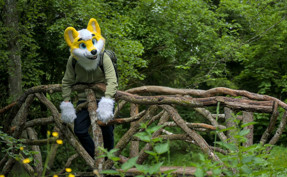 Oh hey! You out here? :D 🌳🏞️ 📸 @Oposum8 🪡 @LorfyTheFox