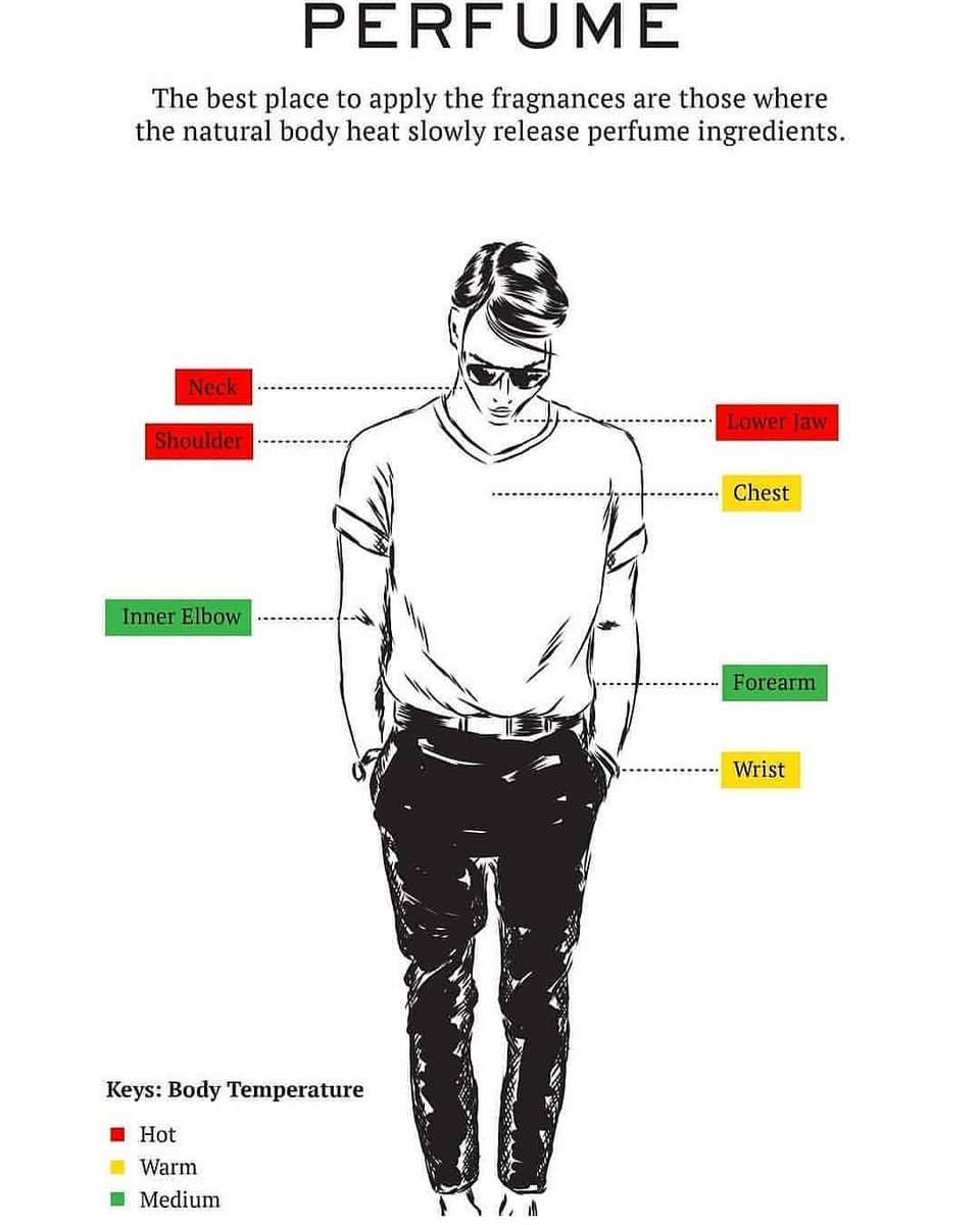 wwalkerperfumes's tweet photo. Do you know how to apply a fragrance? These are the best spots to apply your perfume. 

Depending on the concentration (EDP vs EDT) https://t.co/yQXqj2nHE2