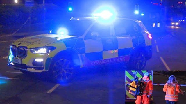 Fire Photos tweet media