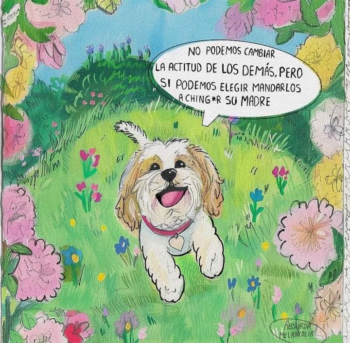 Absurda Melancolía (@absurdamela) on Twitter photo 